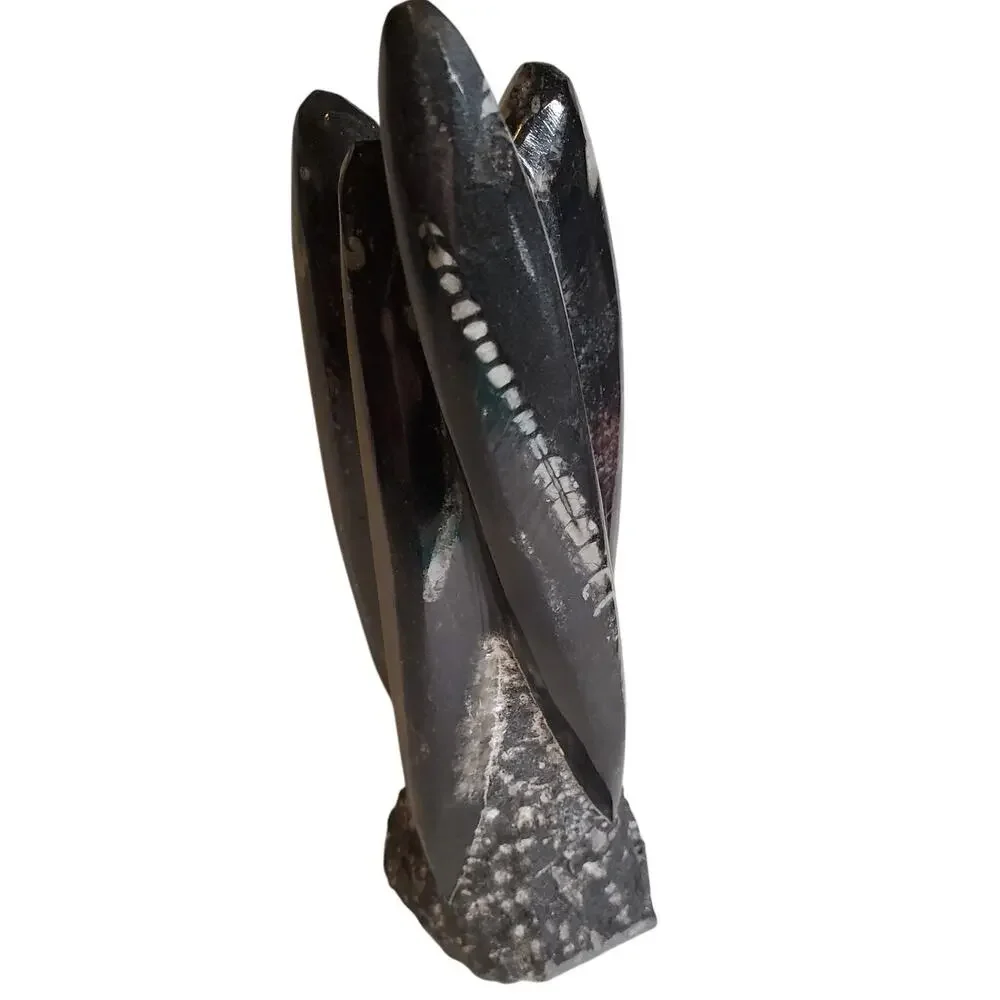 Black Fossils Orthoceras Sculpture Tower - 8